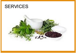 Naturopathic Services: Naturopathic Doctor in Peterborough Ontario